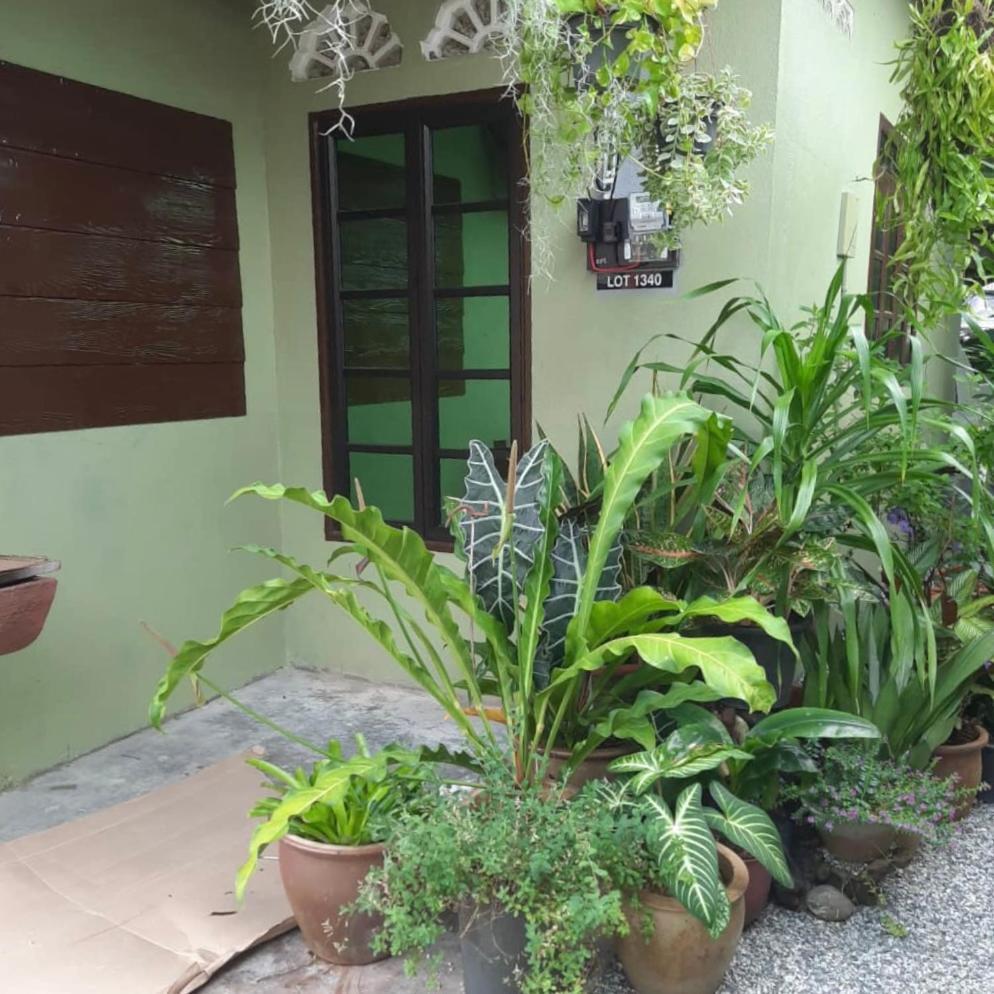Hidden Holiday home Marang